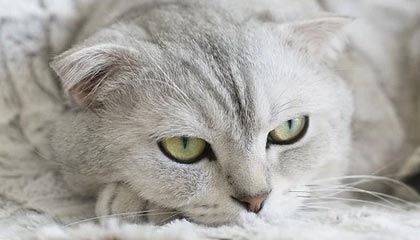 开云-v6.2.5 版本 · 2025年5月4日